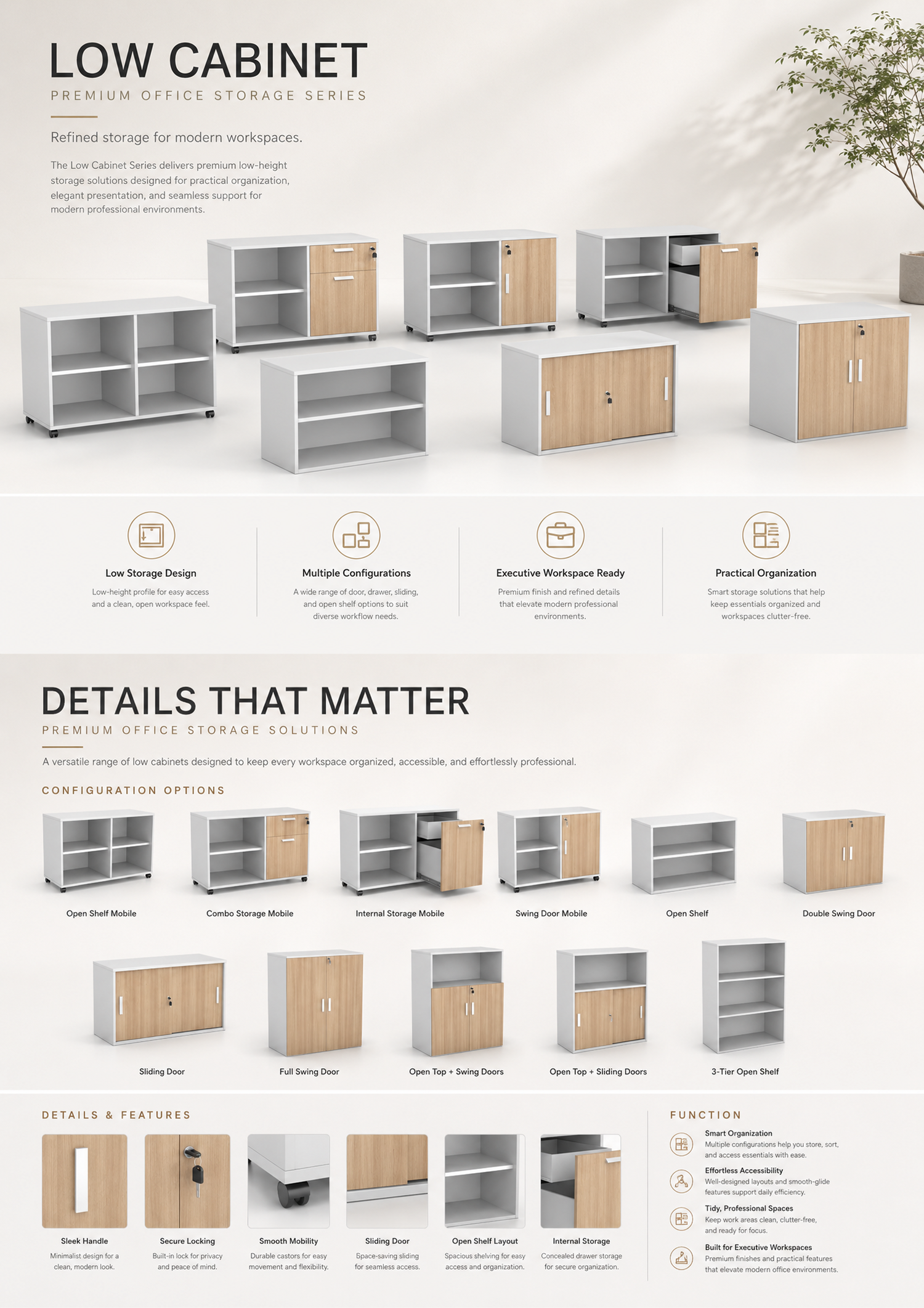 Low Cabinet