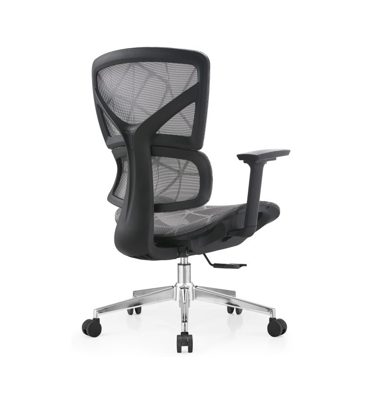 Ergo 3