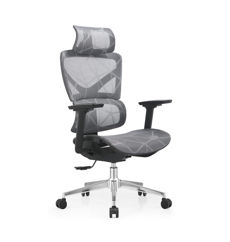 Ergo 3