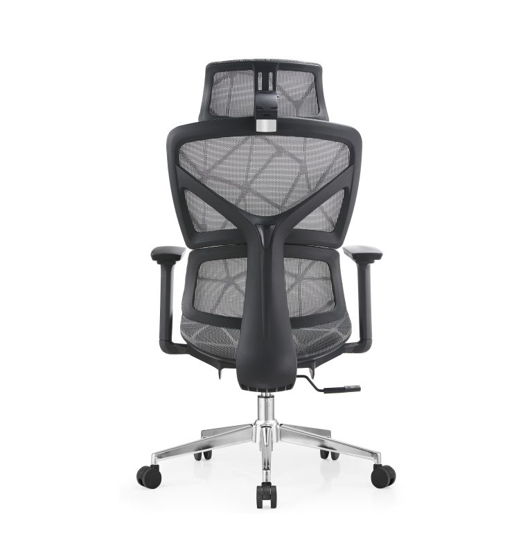 Ergo 3