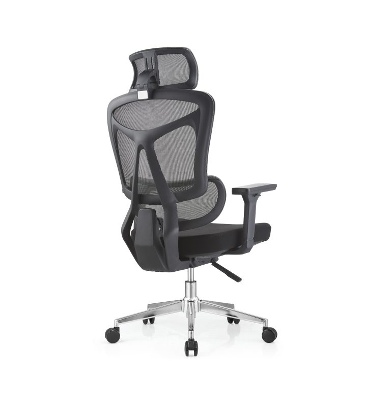 Ergo 7