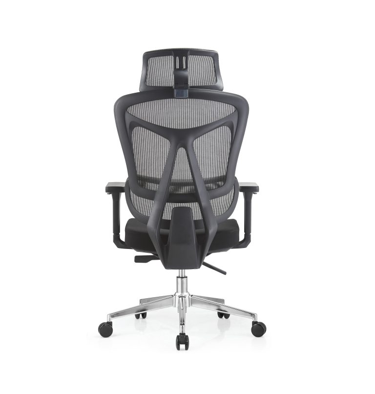 Ergo 7